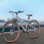 SPATIAL Mountain Bike, 24/26/27.5/29 Inch Outdoor Cycling Bike, 21/8 Speed Lightweight Aluminum Frame | Dual Disc Brakes, Adjustable Ergonomic Seat for Men Women Adult Teens (Gray, 29'')