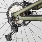 Canyon Spectral 29 CF 8, Big Bamboo, Extra Large