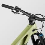 Canyon Spectral 29 CF 8, Big Bamboo, Extra Large