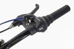 Dynacraft Alpine Eagle 24" Mountain Bike for Teens