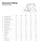 Schwinn Fastback Carbon Road Bike, 51cm Frame