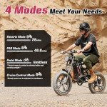 WINDONE E2 750W Fat Tire Electric Bike