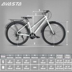 AVASTA Neptune 700C Women's Hybrid Commute Bike