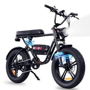 Windone K2 750W Dual Seat Fat Tire E-Bike