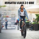 Peak 750W Fat Tire Electric Bike for Men