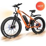 Peak 750W Fat Tire Electric Bike for Men