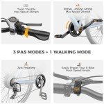 Heybike Race Max Electric Mountain Bike for Adults