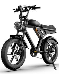 Besintu MOVCAN 1000W Fat Tire Electric Bike