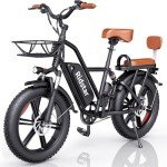 Ridstar 1500W Adult Electric Bike with Fat Tires