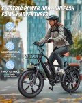 Ridstar 1500W Adult Electric Bike with Fat Tires