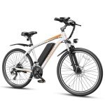 Jasion EB-X 26" Electric Mountain Bike for Adults