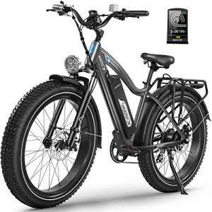 MULTIJOY 750W Electric Bike with Removable Battery