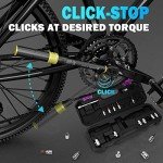 21-Piece Click Torque Wrench Set for Bikes