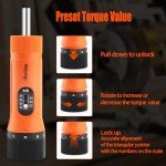 36-Piece Torque Screwdriver Set for Bike Repair