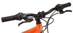 Schwinn High Timber ALX Mountain Bike, 24-Inch