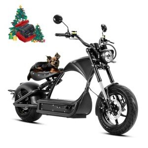 eAhora M1P Pro 4000W Electric Motorcycle for Adults