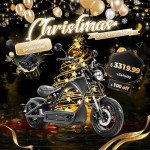 eAhora M1P Pro 4000W Electric Motorcycle for Adults