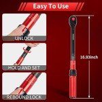 Hairich Dual-Direction Click Torque Wrench 10-170 ft.lb