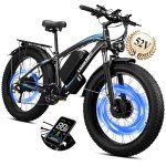 3000W Dual Motor Electric Bike for Adults