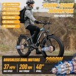 3000W Dual Motor Electric Bike for Adults