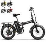 1000W Folding Electric Bike with Removable Battery