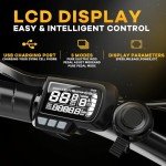 1000W Folding Electric Bike with Removable Battery