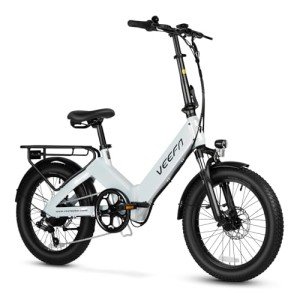 VEEFA F1 Folding Electric Bike with 750W Motor