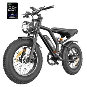 Electric Fat Tire Bike with 1500W Motor