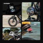 Electric Fat Tire Bike with 1500W Motor