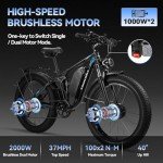 3000W Dual Motor Electric Bike for Adults