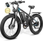 3000W Dual Motor Electric Bike for Adults