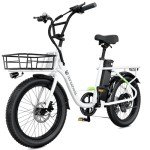 Isinwheel U7 750W Electric Bike for Adults