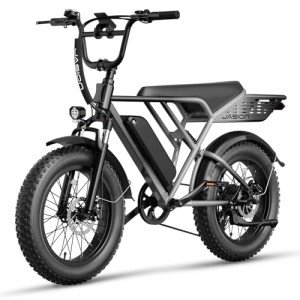 Jasion RetroVolt 1500W Electric Fat Tire Bike