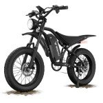 BIGNIU 20" Fat Tire Electric Bike for Adults