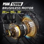 BIGNIU 20" Fat Tire Electric Bike for Adults