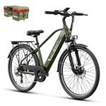 Jasion Roamer 1200W Electric Bike for Adults