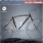 Outroad 14-Speed Road Bike with Aluminum Frame