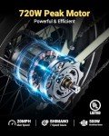 20" Folding Electric Bike with 720W Power