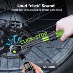 1/4" Torque Wrench Set for Bikes and E-Bikes