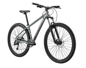 Eastern Bikes Alpaka 29" Men's Hardtail Mountain Bike