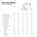 Schwinn Fastback Carbon Road Bike - 54cm Black