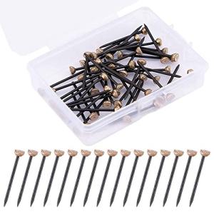 60PCS Brass Picture Hanging Pins with Storage Box