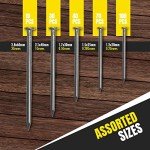 Assorted Picture Hanging Nails - 250 Pack
