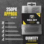 Assorted Picture Hanging Nails - 250 Pack