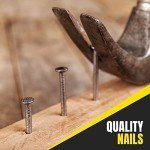 Assorted Picture Hanging Nails - 250 Pack