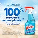 Windex Original Glass Cleaner 680ml Bottle