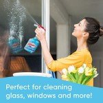 Windex Original Glass Cleaner 680ml Bottle