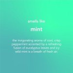 Method Mint Glass Cleaner, 828 ml