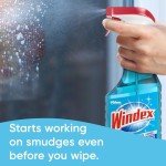 Windex Original Glass Cleaner 680ml Bottle