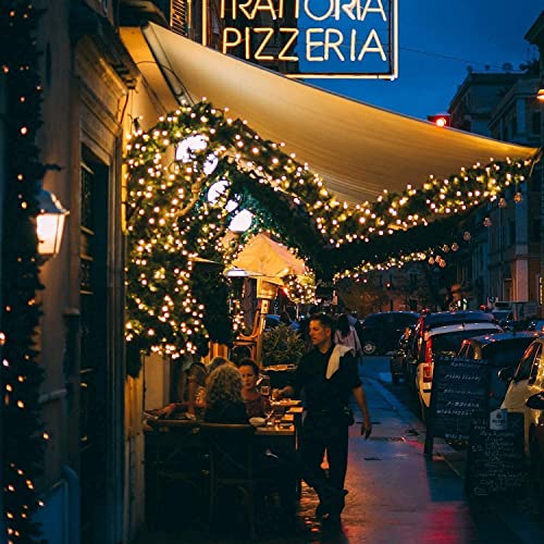 100 Count Clear Christmas String Lights - 25 Feet